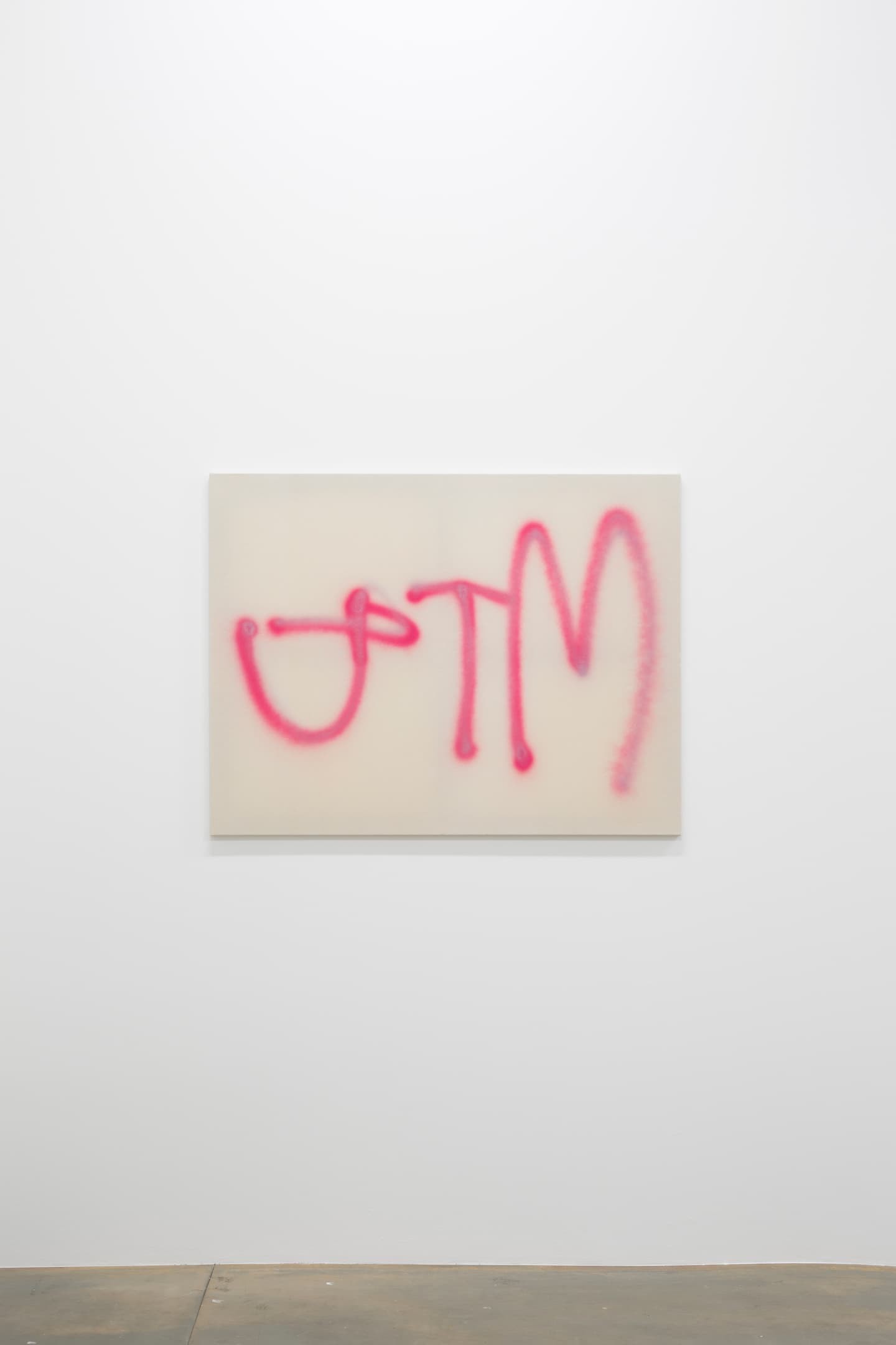 Camila Oliveira Fairclough, JTM, 2020. Spray sur toile, 89 x 116 cm. Achat à la galerie Laurent Gaudin. Collection Frac île-de-france. ©DR