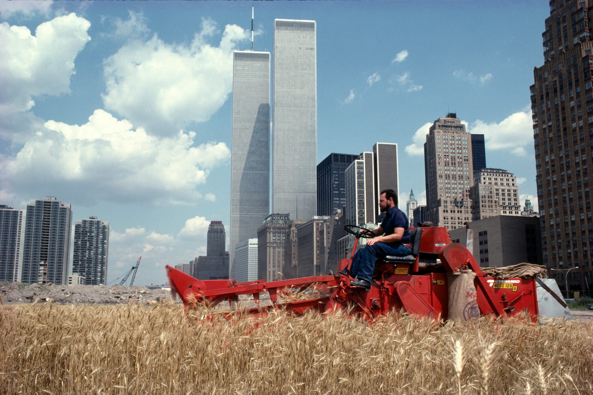 Ágnes Dénes, Wheatfield - A Confrontation: Battery Park Landfill, Downtown Manhattan - The Harvest, 1982 © Ágnes Dénes. Collection Frac Grand Large — Hauts-de-France