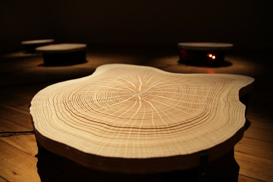 Benjamin Just, Respirer la for&ecirc;t, 2017 &copy; Benjamin Just