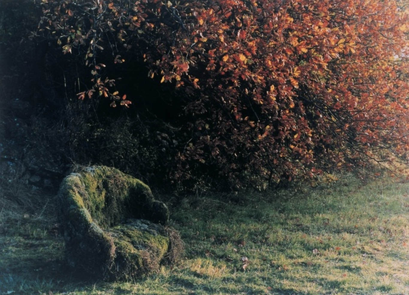 Marie Denis, Le Divan, 1996, Photographie couleur © Adagp, Paris, Crédit photographique : Stéphane Bellanger, Collection Frac des Pays de la Loire