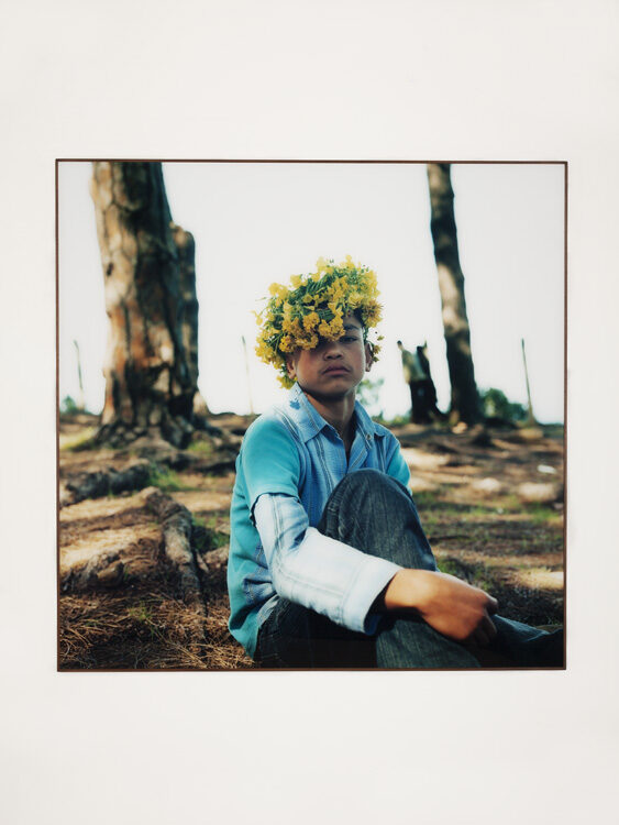 Yto BARRADA, « Couronne d’oxalis, forêt Perdicaris, Rmilet, Tanger », 2007 de la série « Iris tingitana », 2007, collection Frac Nouvelle-Aquitaine MÉCA © Yto BARRADA, crédit photographique : Jean-Christophe Garcia