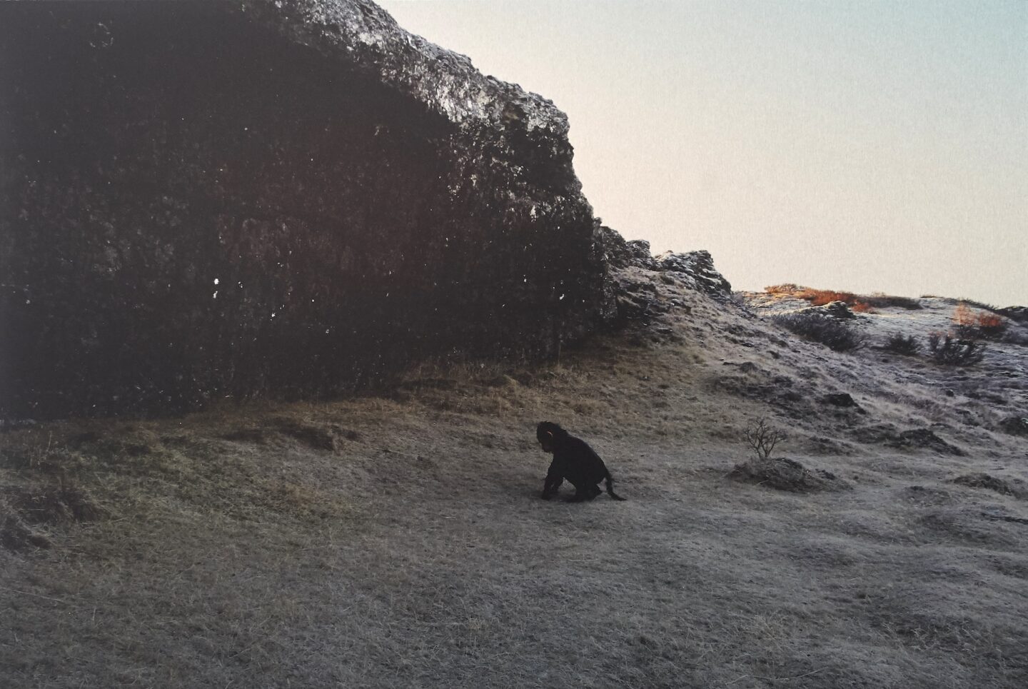 Tom Brabant, Monkey reflecting (in Búrfellsgjá), 2022 © Devin Blair