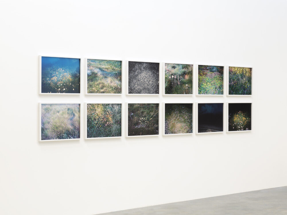 Delphine Chanet, "Epicène", 2019. Production Frac Nouvelle-Aquitaine MÉCA pour l'exposition "Narcisse ou la floraison des mondes" en 2019. Collection Frac MÉCA @Adagp, Paris, 2024. Crédit photo : Jean-Christophe Garcia