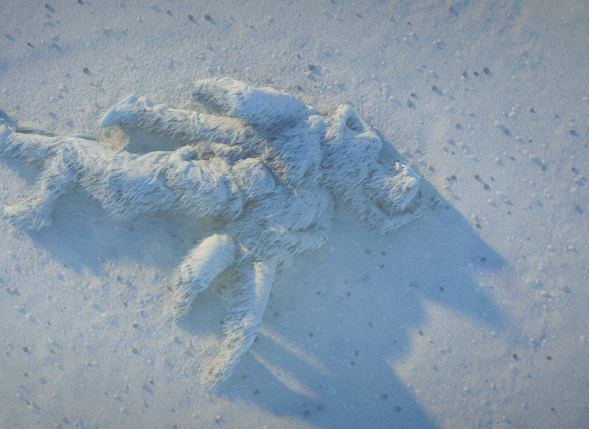 The Edge of eternity Credit : Céleste Rogosin