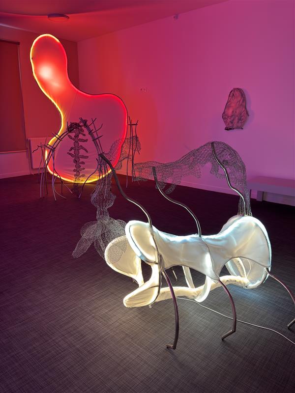 Visuel : Naomi Maury, 