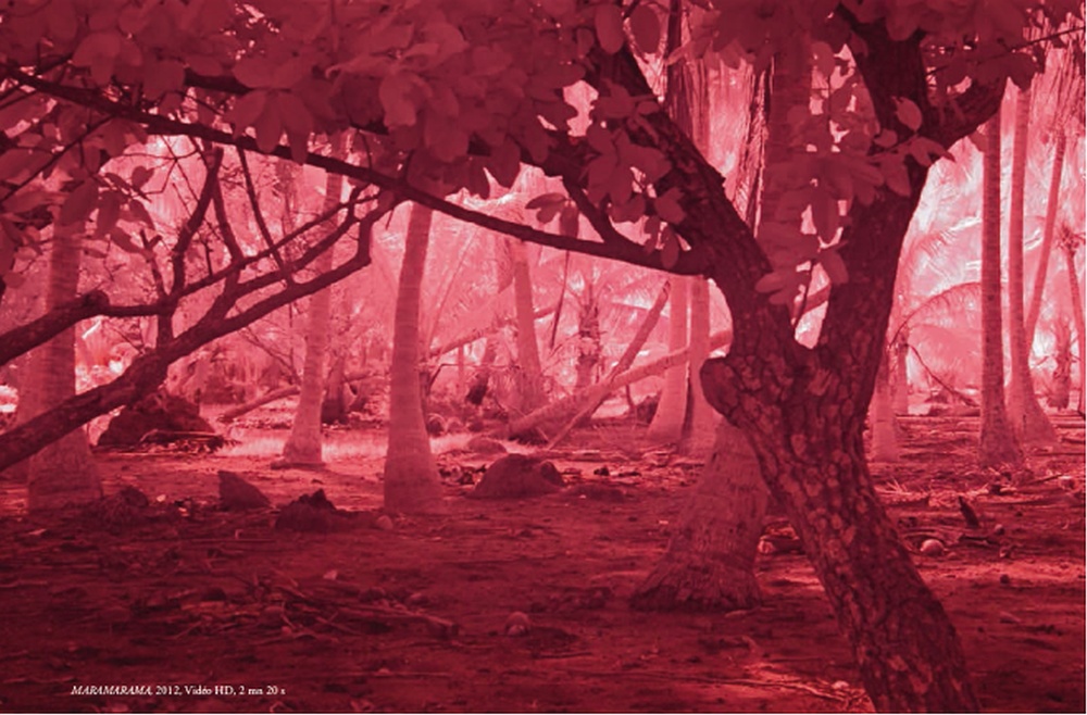 Extrait de l'oeuvre de Natacha Lesueur, Maramarama, 2016 (vidéo, 2min20s). Appartenant à la Collection du FRAC Corsica et présentée dans l'exposition 