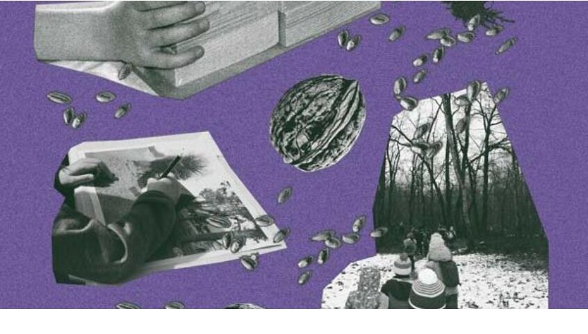 © Déborah Bron et Camille Sevez