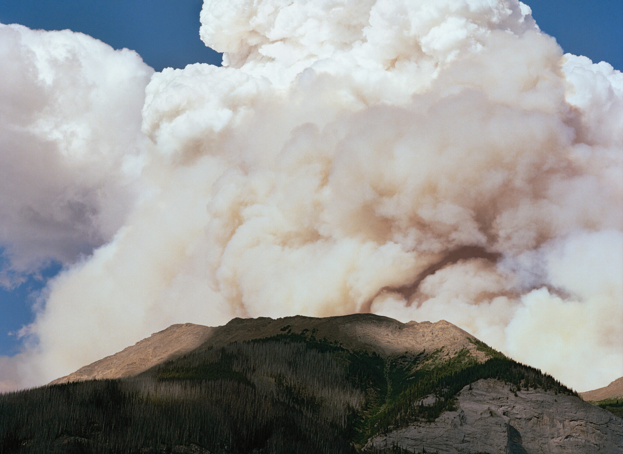Vanessa Gandar, Forest Fires [Feux de forêt], 2017. Collection du FRAC Alsace © Vanessa Gandar