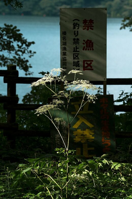 Hideki Umezawa, Haruna Lake #2