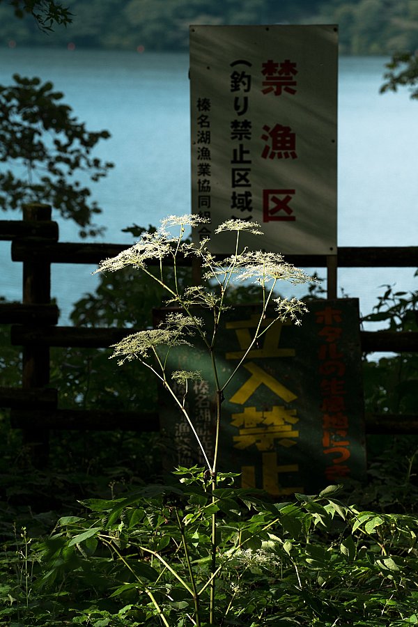 Hideki Umezawa, Haruna Lake #2