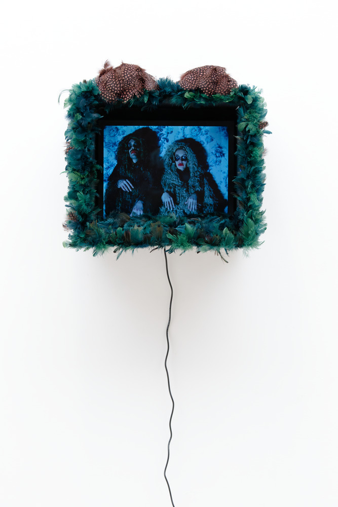 Marie Losier, Taxidermisez-moi, 2021 Installation audiovisuelle, 41 &times; 43 &times; 43 cm, dur&eacute;e : 9&rsquo;45 Collection Frac, Frac-Artoth&egrave;que Nouvelle-Aquitaine &copy; ADAGP, Paris, 2026