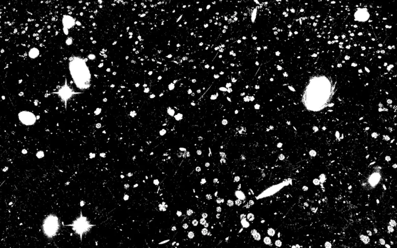 La Floraison de la lumi&egrave;re - Angela Detanico et Rafael Lain