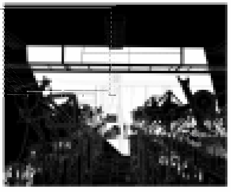 &Eacute;lisabeth Ballet, SRorange376, 2022 &copy; Adagp, Paris 2026