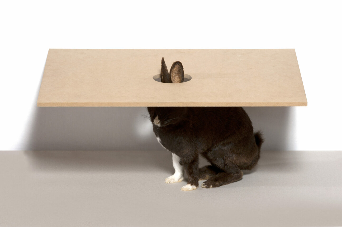 Sigurdur Arni Sigurdsson, Diplomatie, 1996. Collection Frac Franche-Comté © Sigurdur Arni Sigurdsson