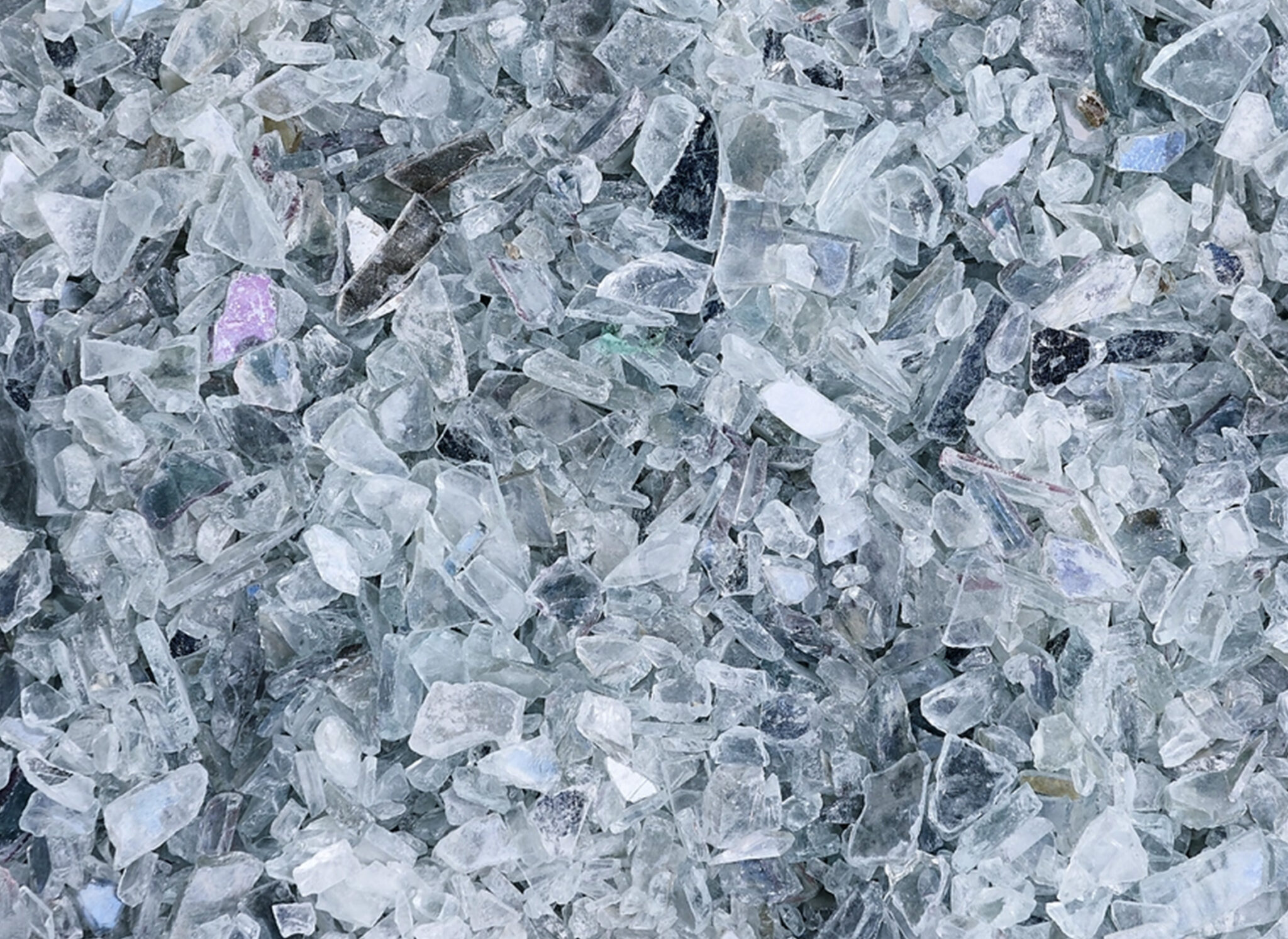 Celeste Boursier-Mougenot, plage, 2029. © Adagp, Paris 2026 - Photo : Laurent Lecat