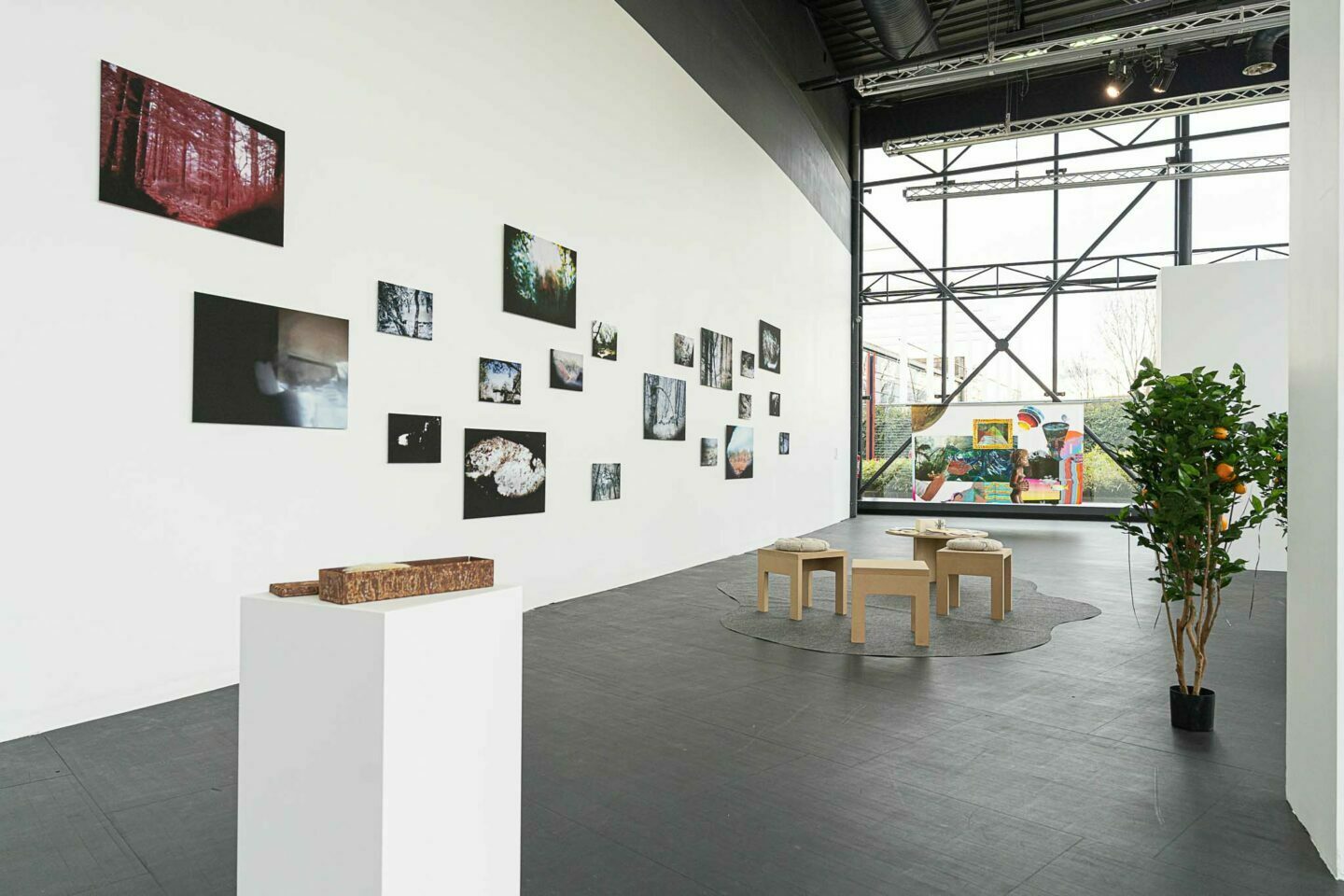 Exposition "Parfois revenir en arri&egrave;re et avancer se confondent", 2026, FRAC Alsace &copy; Alex Flores, Photographe &OElig;uvres : (premier plan) Ouassila Arras, "Hayek", 2020, Collection FRAC Champagne-Ardenne | (&agrave; gauche) Estefania Pe&ntilde;afiel Loaiza, "Un air d&rsquo;accueil", 2013-2015, Collection FRAC Alsace, ADAGP Paris, 2026 | (au centre) Jos&egrave;fa Ntjam, "Articles ind&eacute;finis", de la s&eacute;rie "Sous la mangrove", 2019, Collection FRAC Alsace, ADAGP Paris, 2026