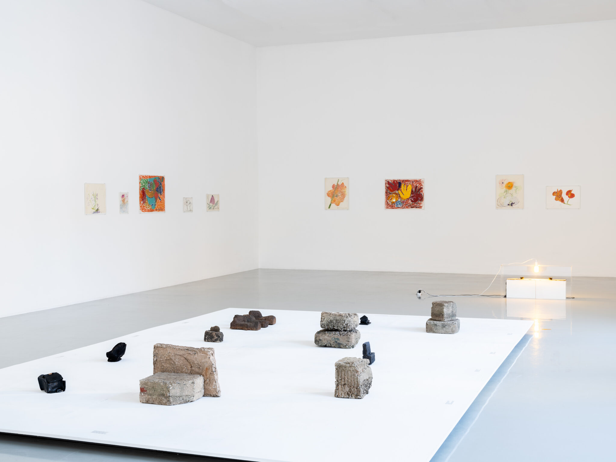 Vue d’exposition « Beverly Buchanan. Impermanences, avec Hélène Yamba-Guimbi », 49 Nord 6 Est – Frac Lorraine, Metz, 27 février – 16 août 2026. Photo : Fred Dott